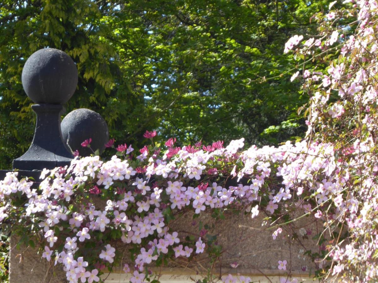 O'Harabrook Country House Ballymoney Eksteriør bilde