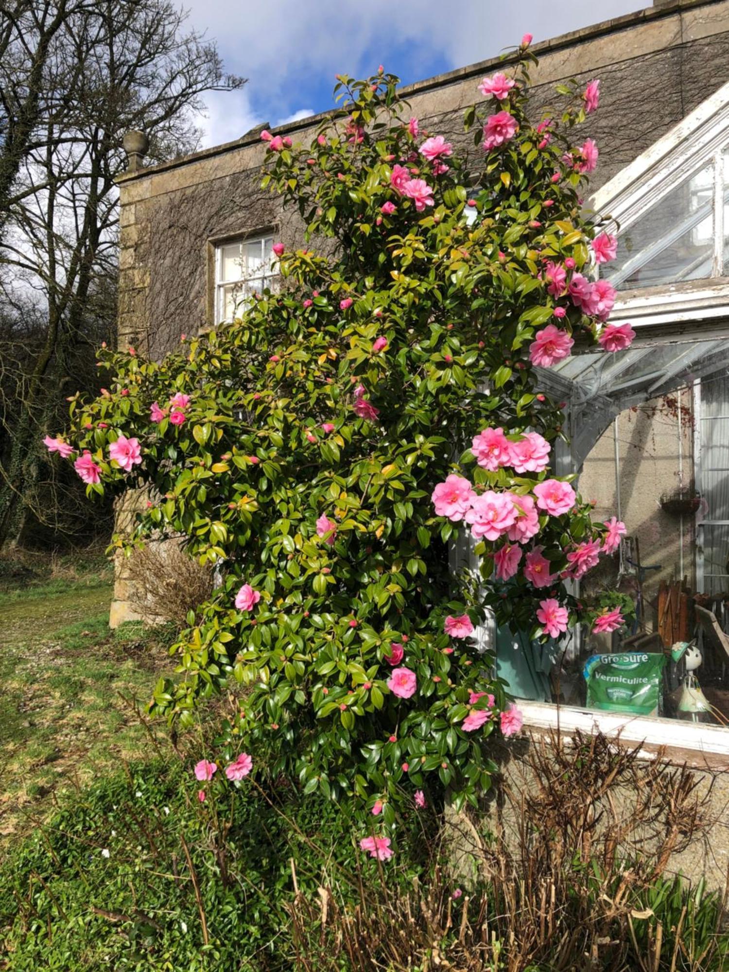 O'Harabrook Country House Ballymoney Eksteriør bilde