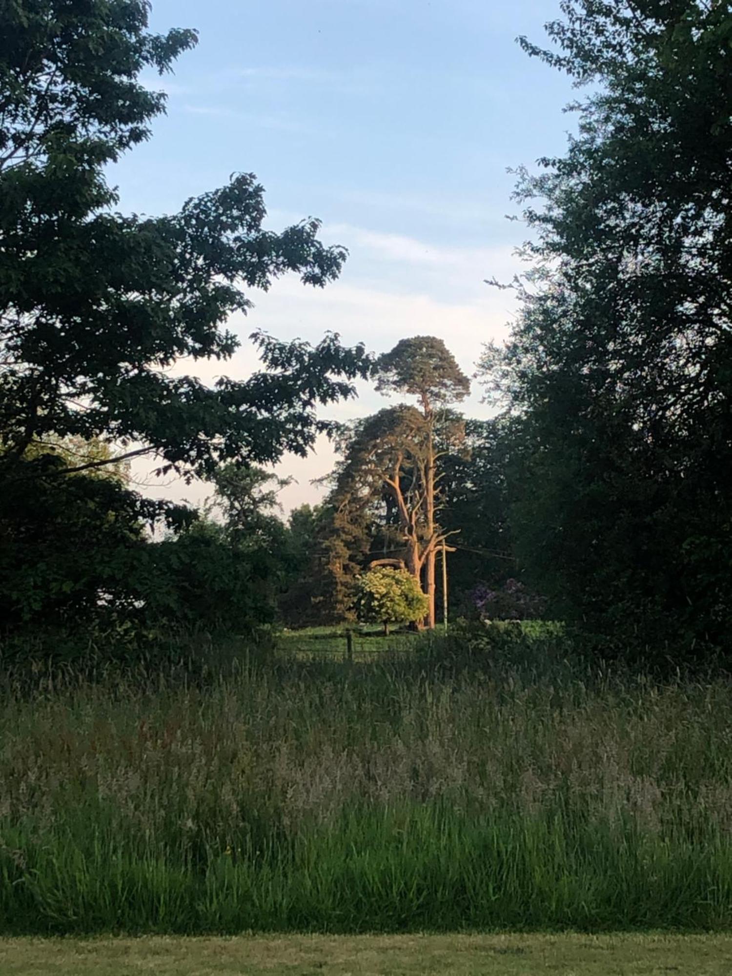 O'Harabrook Country House Ballymoney Eksteriør bilde